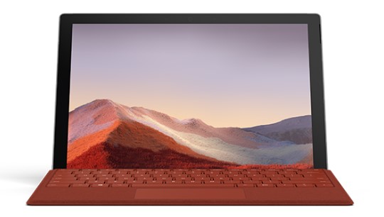 鹤城清洁和维护 Surface